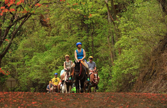 Diamante Eco Park Horseback Ride - Foto 7