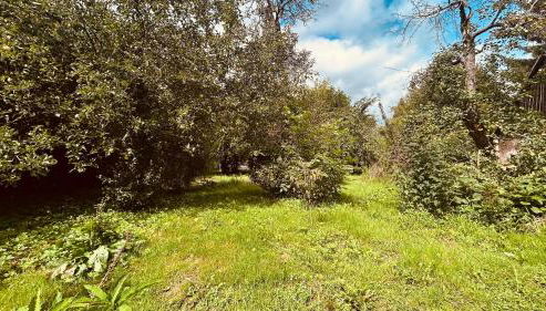 Cosy Lehde - Foto 3, Garden