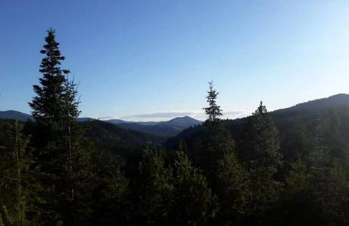 Rustic Mountain Retreat Perfect for Large Groups in Kingston, Idaho - Foto 32