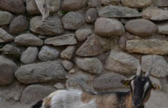 Agriturismo Dondino - Foto 33