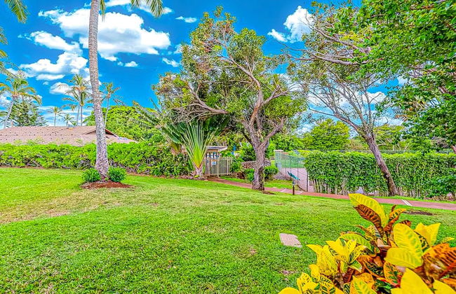 Ke Nani Kai - Foto 38