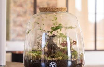 Capitole Horizon - Foto 23