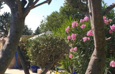 Lou Bagnou Mi-Clos - Foto 34