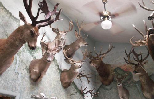 Whitebird Summit Lodge - Foto 18