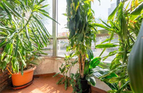 Two-bedroom apartment, central location, with terrace, WiFi, and metro nearby - Photo 7