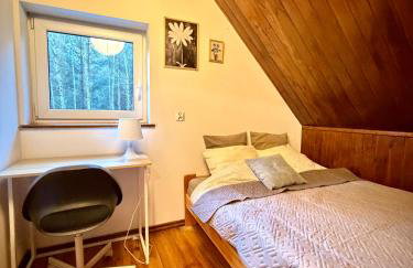 Kurort Mirowice-domek w lesie, z balią z jacuzzi i hydromasażem - Foto 49