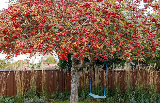 Insta-worthy 4br Designer House 5 min to the Beach - Foto 38