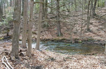 Renovated home seconds from town - Foto 42