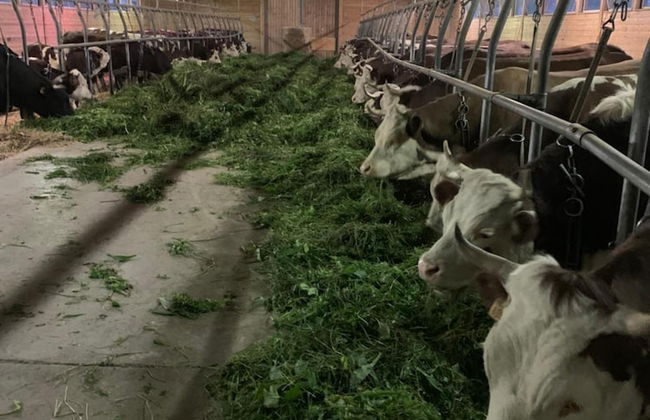 Agriturismo La Grange - Foto 53