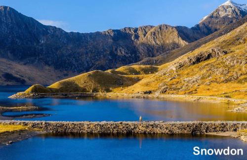 Cybi, Modern Shepherds Hut with Games Room Access - Foto 28