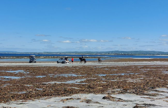 Southland Holiday Home - Foto 21