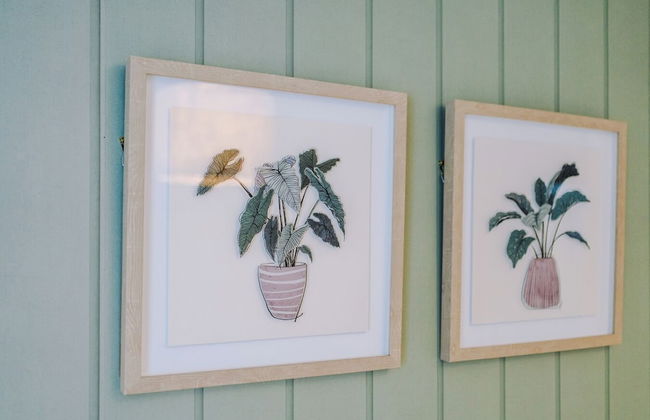 Elm Apartments - Foto 17