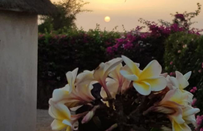 Villa Elodie - Foto 39