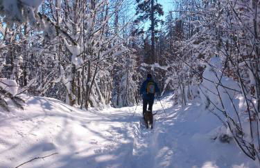 Schwarzwald-Chalet Feldberg - Foto 21