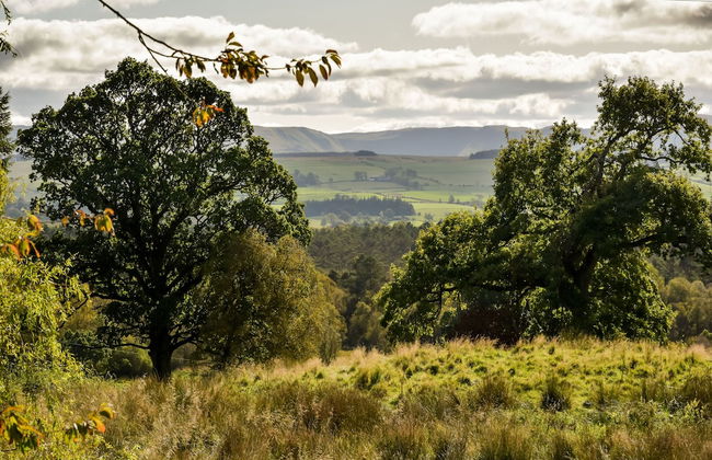 Cardross Estate Holiday Cottages - Foto 75