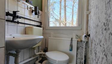 Kleine Freiheit Nummer 3 - Foto 3