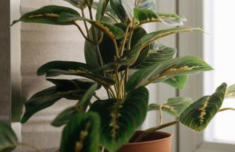 New 3BR Home with Private Yard and Game Room and Parking - Foto 8