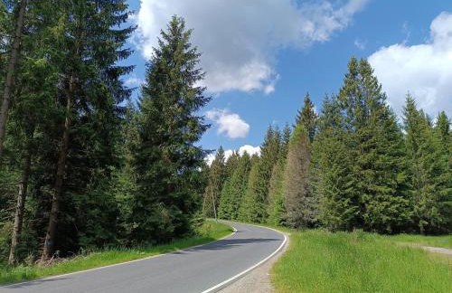 Strażnica Pod Lasem - Foto 80