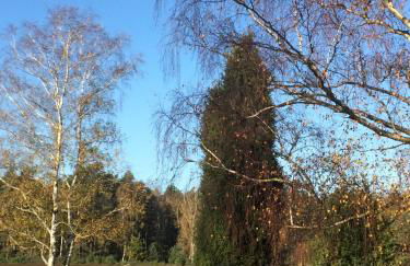 Atelier am Markt - Photo 31