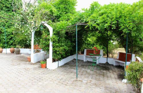 Quinta da Ti Júlia - Foto 11