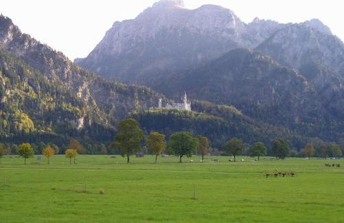 Lizzi Mountain Apartments - Foto 34