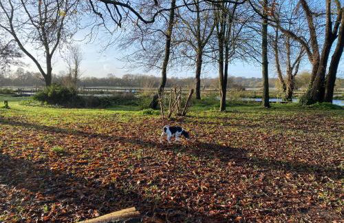 In the heart of the Town centre Ringwood, New Forest - Star Cottage - Foto 43