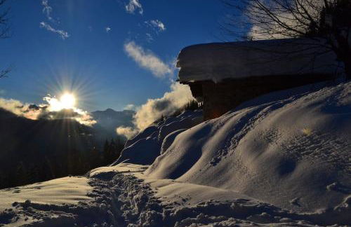 La marmotta gialla - apartment - lakes - mountains - Photo 47