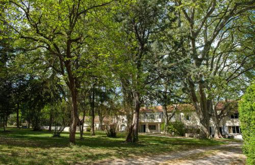 Mas 9 Romanin - Mas Provençal Familial - Foto 41