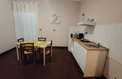 Il tulipano - Foto 5