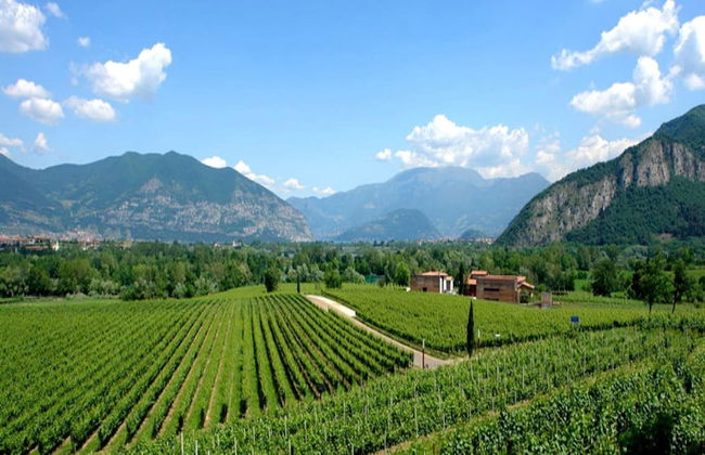 Luxurious Villa in Lombardy with Garden & Hot Tub - Photo 38