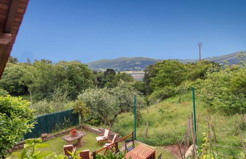 Tranquilidad en la Reserva de Urdaibai - Foto 43