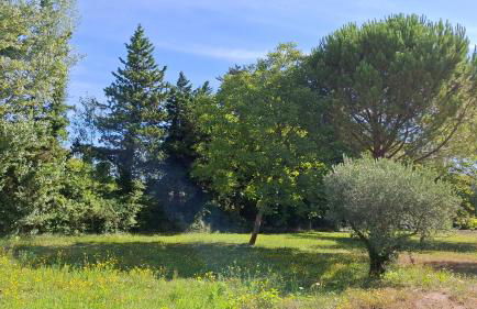 Maison au bord de l'eau - Photo 21