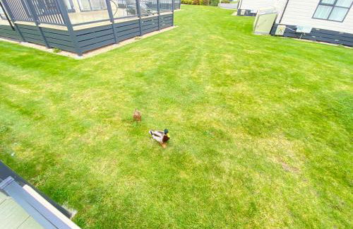 Wildflower, Premium Plus Hot Tub Lodge - Foto 34