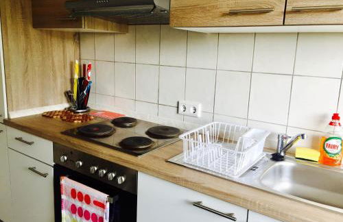 Mainzimmer Business Appartment - Monteurwohnung mit Burgblick - Foto 8