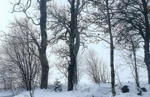 Le Chalet des Forêts Enchantées - Foto 26