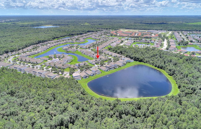 Lakeside Spa, AC in Games Room - Tropics! 822 - Foto 21