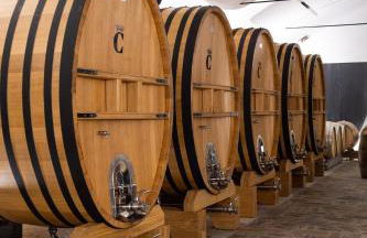 Quinta da Côrte - Foto 36