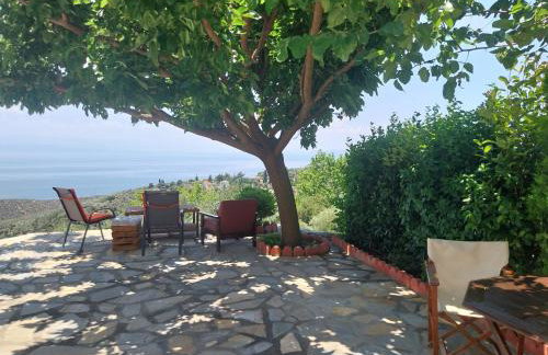 Panorama Studio Afetes - Photo 29