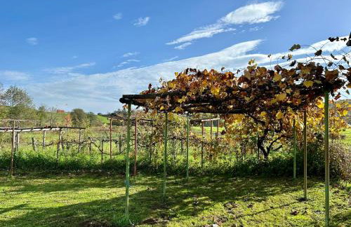 Seosko Imanje Na Obali Rijeke - Foto 9