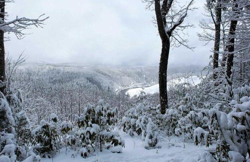 Cabin Near Boone with Hot Tub and Mountain Views - Foto 34