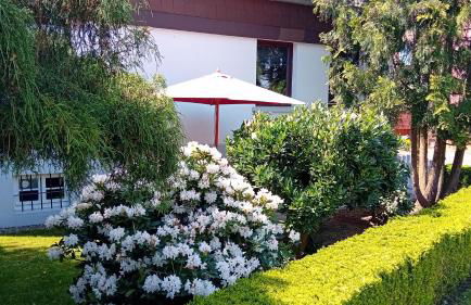 Ferienwohnung im Wesertal - Foto 22