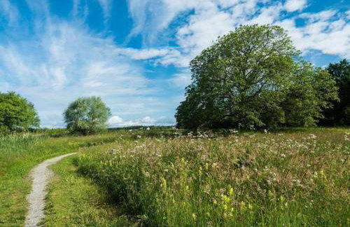 Haus Schussenblick Og - Foto 20