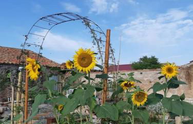 La Quibla de Abuhan - Foto 14