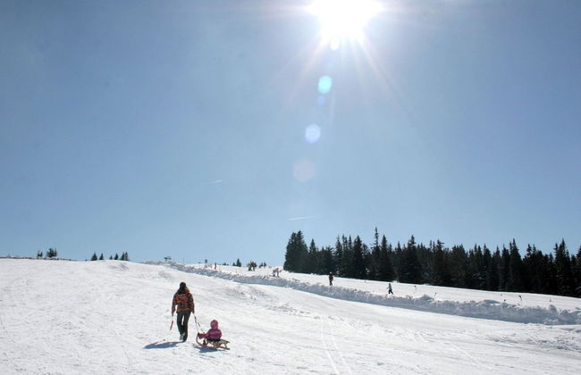 Beautiful Holiday Home in Weinebene With Sauna - Foto 33