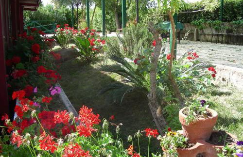 Pier Delle Vigne B&B - Foto 76