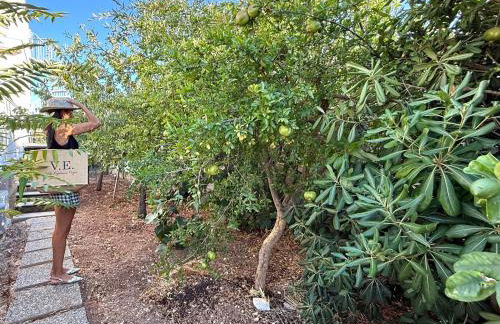 Villa Grazia - Foto 45