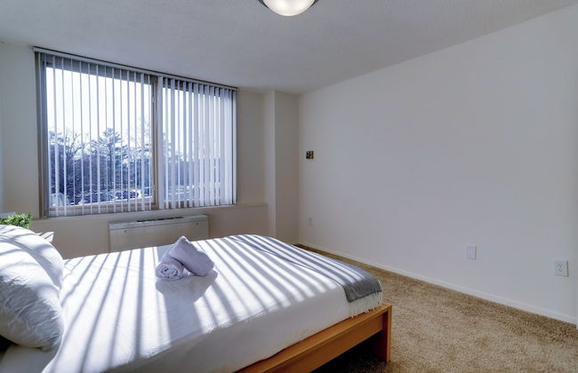 Spacious 2BR Apartment in Crystal City - Photo 5