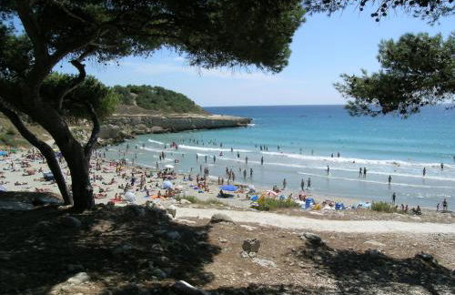 Les Bruyères - Foto 18