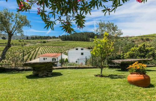 Quinta da Padrela Winery House - Foto 26