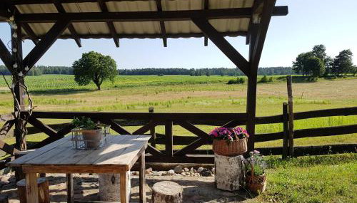 Gościniec Tymawa - Foto 2, Garden